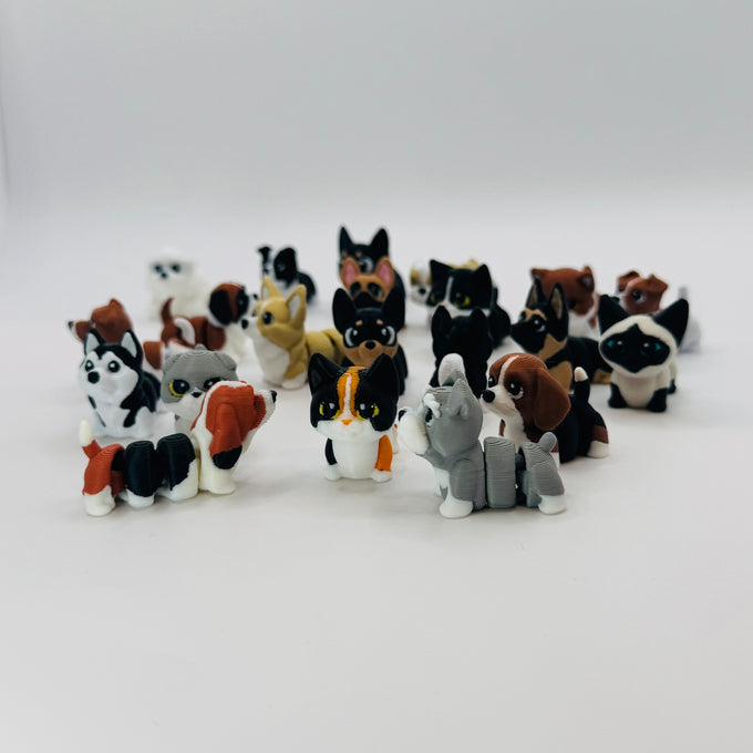 Mystery Pack