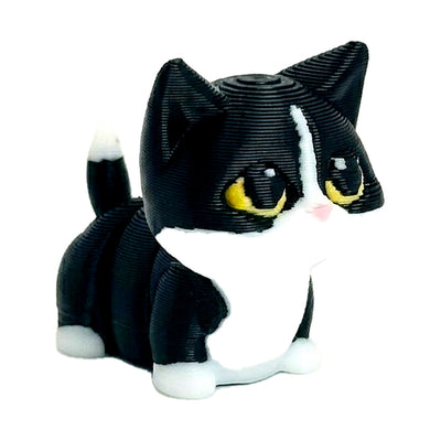 KOKO (Kitten)