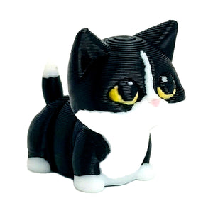 KOKO (Kitten)