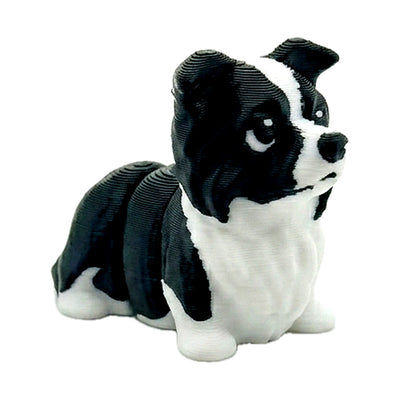 Shadow (Border Collie)